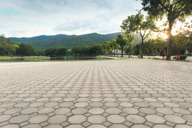 Best Cobblestone Driveway Pavers  in Stepping Stone, CO