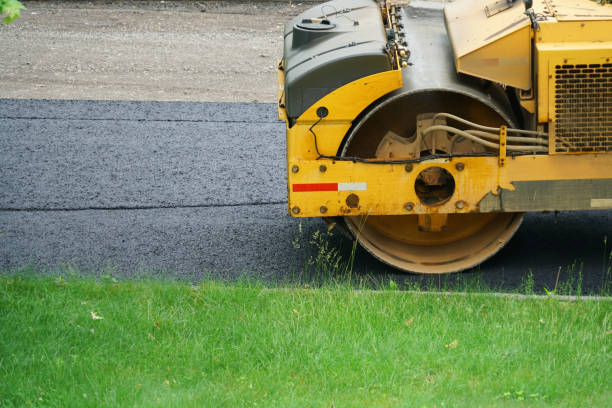 Best Driveway Pavers Near Me  in Stepping Stone, CO